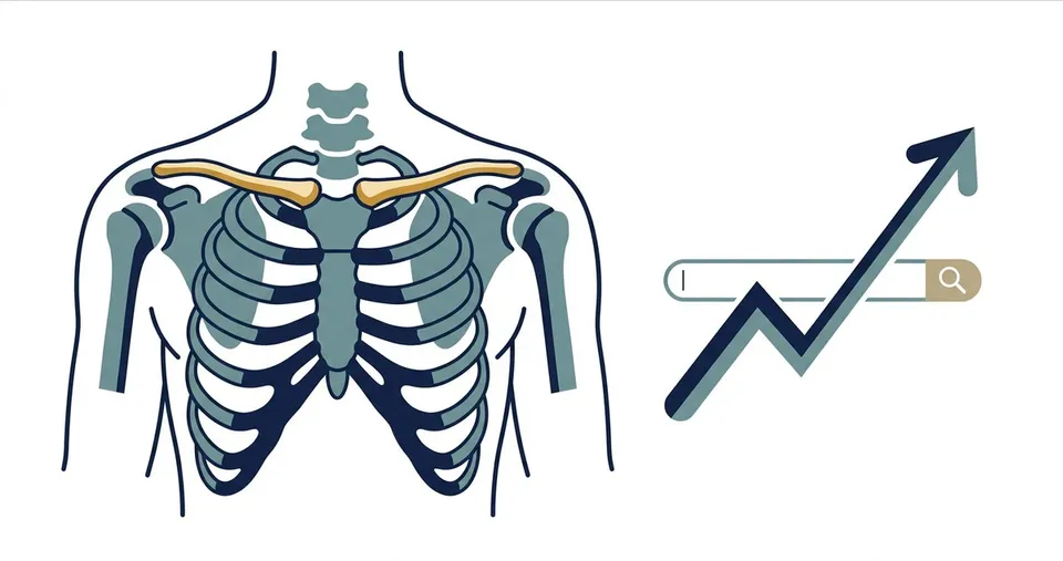 What Does Clavicular Mean? Anatomy, Definition, and Why It's Trending